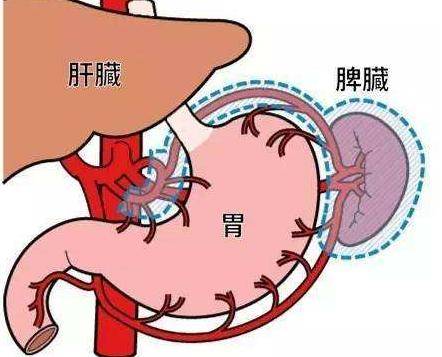 心,肝,脾,肺,肾,五脏藏毒都有哪些表现?如何排毒更健康