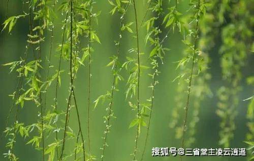 韩愈|自幼丧父刻苦勤奋，一心为国尽献忠心，造就韩愈成为唐宋第一大家
