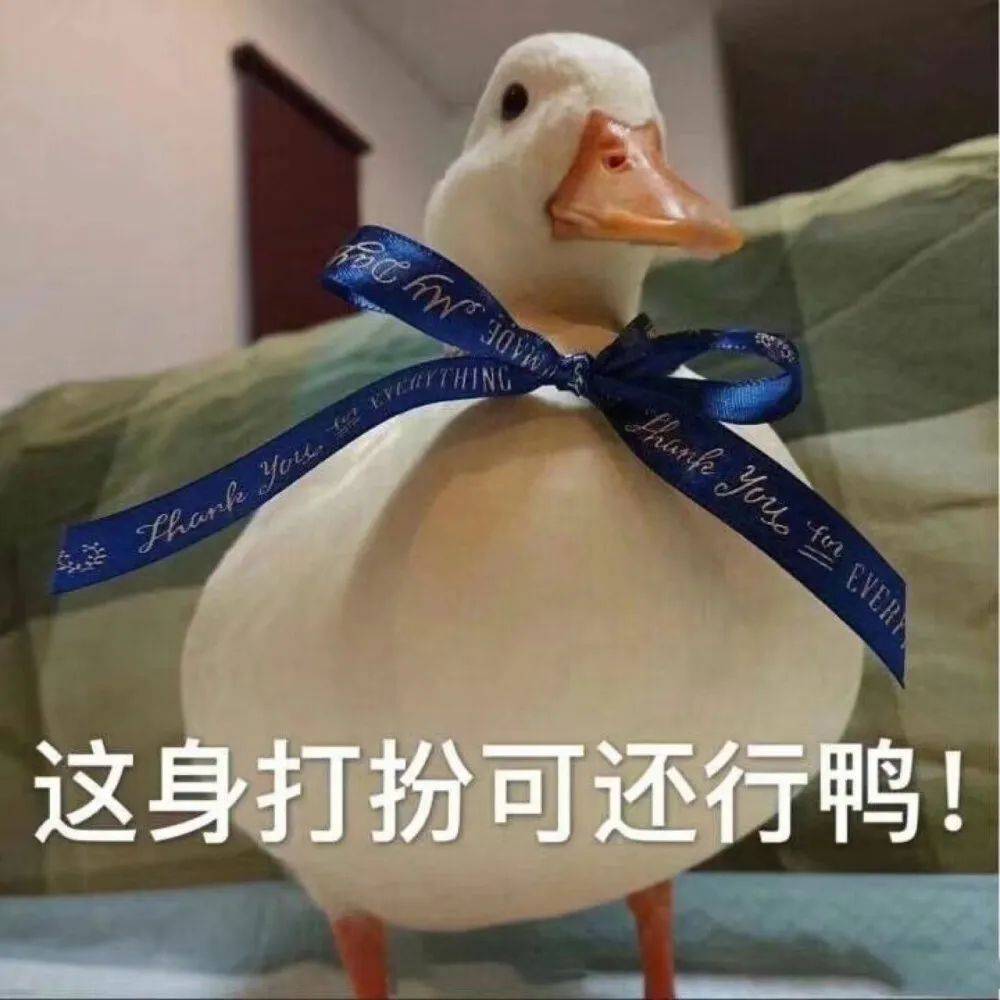 标准|2020年河北专接本各院校招生专业学费标准来喽（很全）