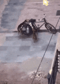 搞笑gif趣图:小哥,你这真的是在玩乒乓球嘛,能长点心吗?