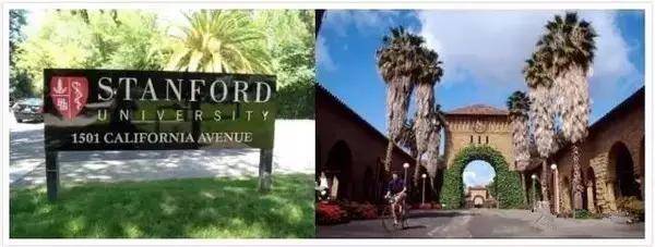 向太|向太邓文迪是亲姐妹吗？？身价百亿的豪门阔太们，竟然都长同一张脸...