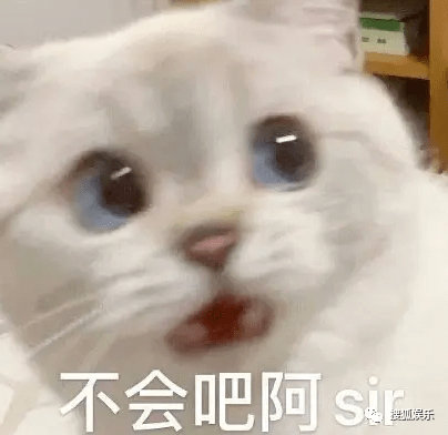 63131fd75b494675bf8193423094a730.png