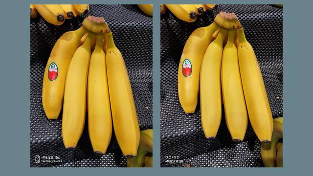 真香|魅族17测评：120Hz直屏，真香警告？