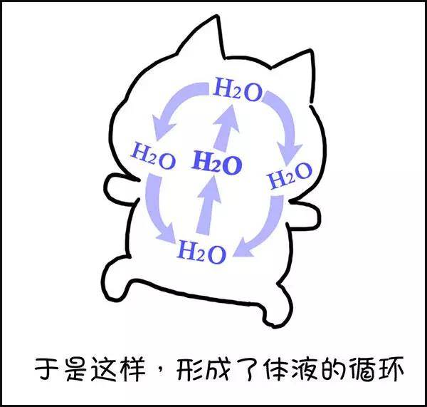 什么|湿气到底是什么？——长胖的罪魁祸首！！