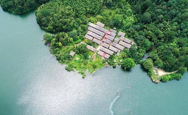 桃江gdp_桃江竹海图片(3)