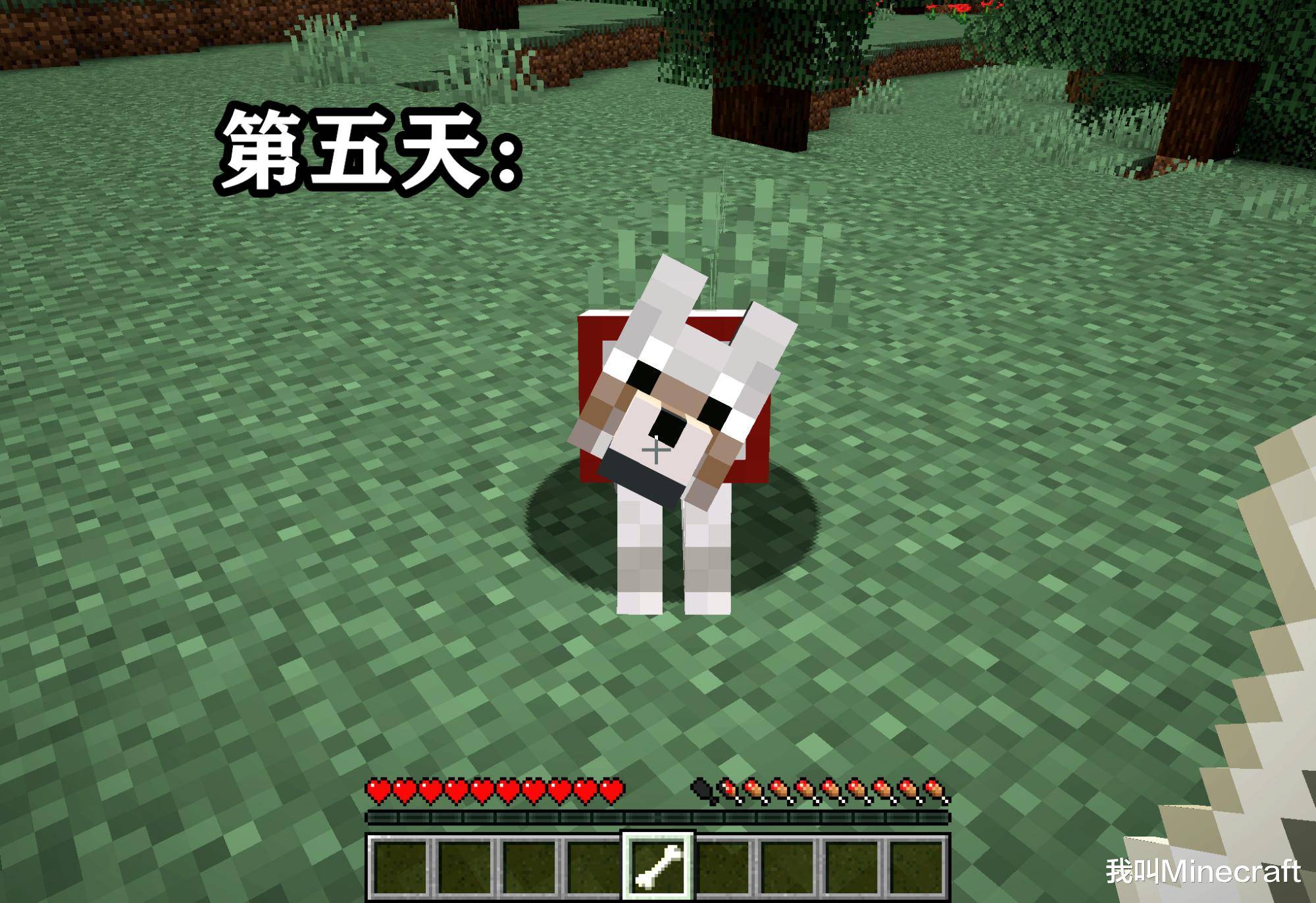 ba75c7e0b1c94002b127d5c6625144e8.jpeg