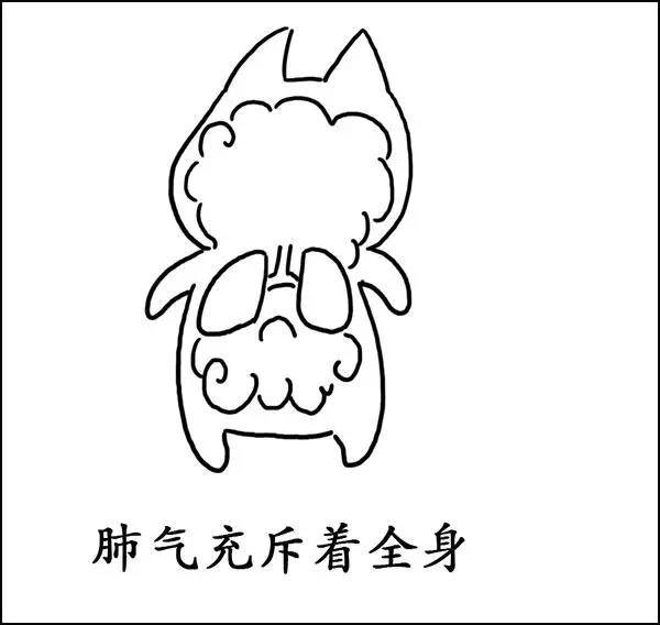 什么|湿气到底是什么？——长胖的罪魁祸首！！