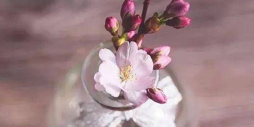 调剂|关于“退档、调剂”问题的3大误区、7种退档类型，不看可能吃亏！