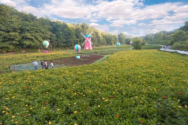 陕西旅游|避暑、游玩一个不能少 ，解锁铜川旅游免费景区新玩法！