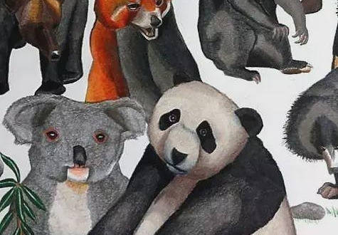 故事传记|3岁画画的自闭症天才，无需起稿画出400种动物，画出了另一个世界