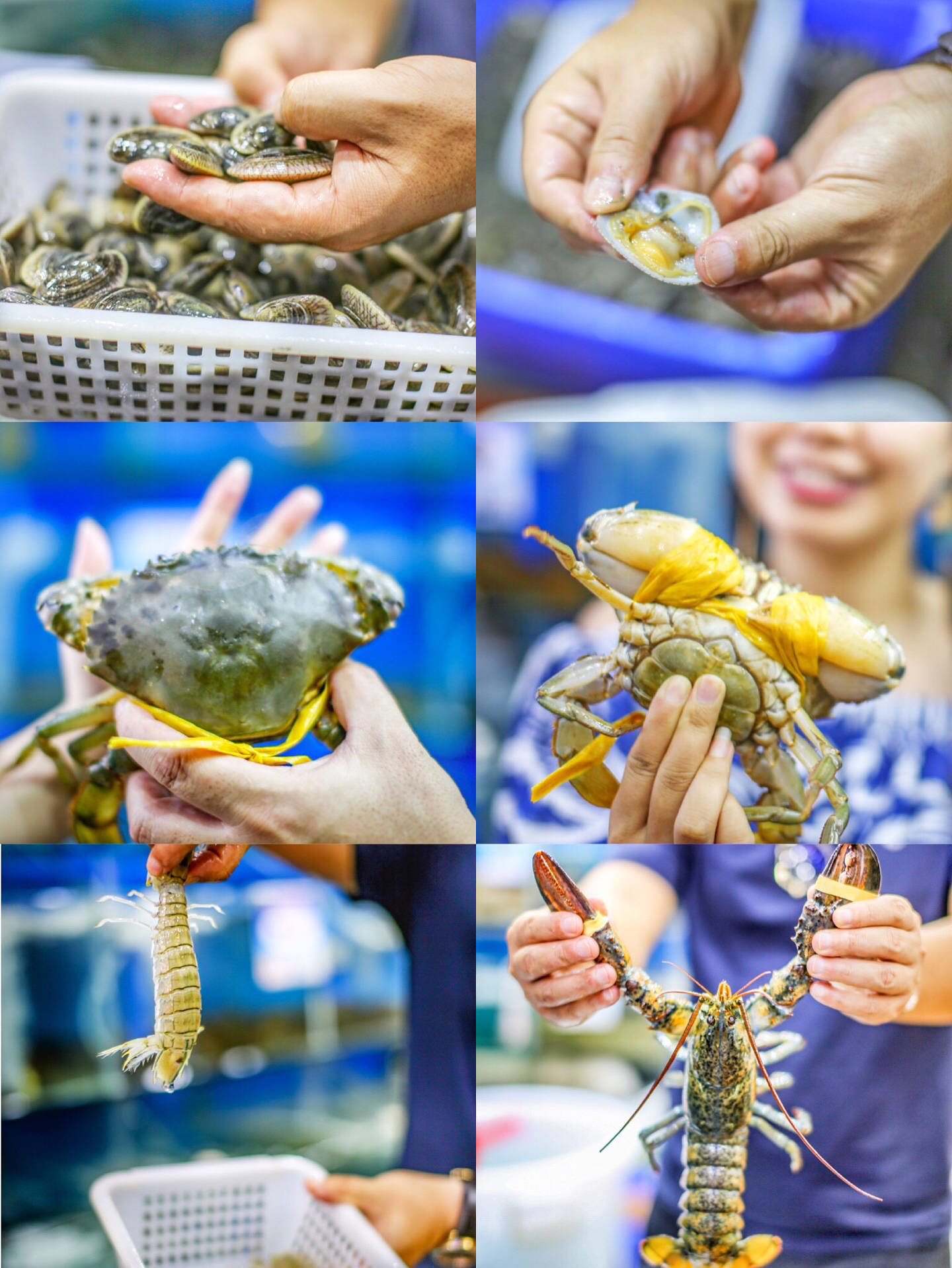 挑选海鲜最正确的方法 f8218471325d469f816657150f6188d4.jpeg