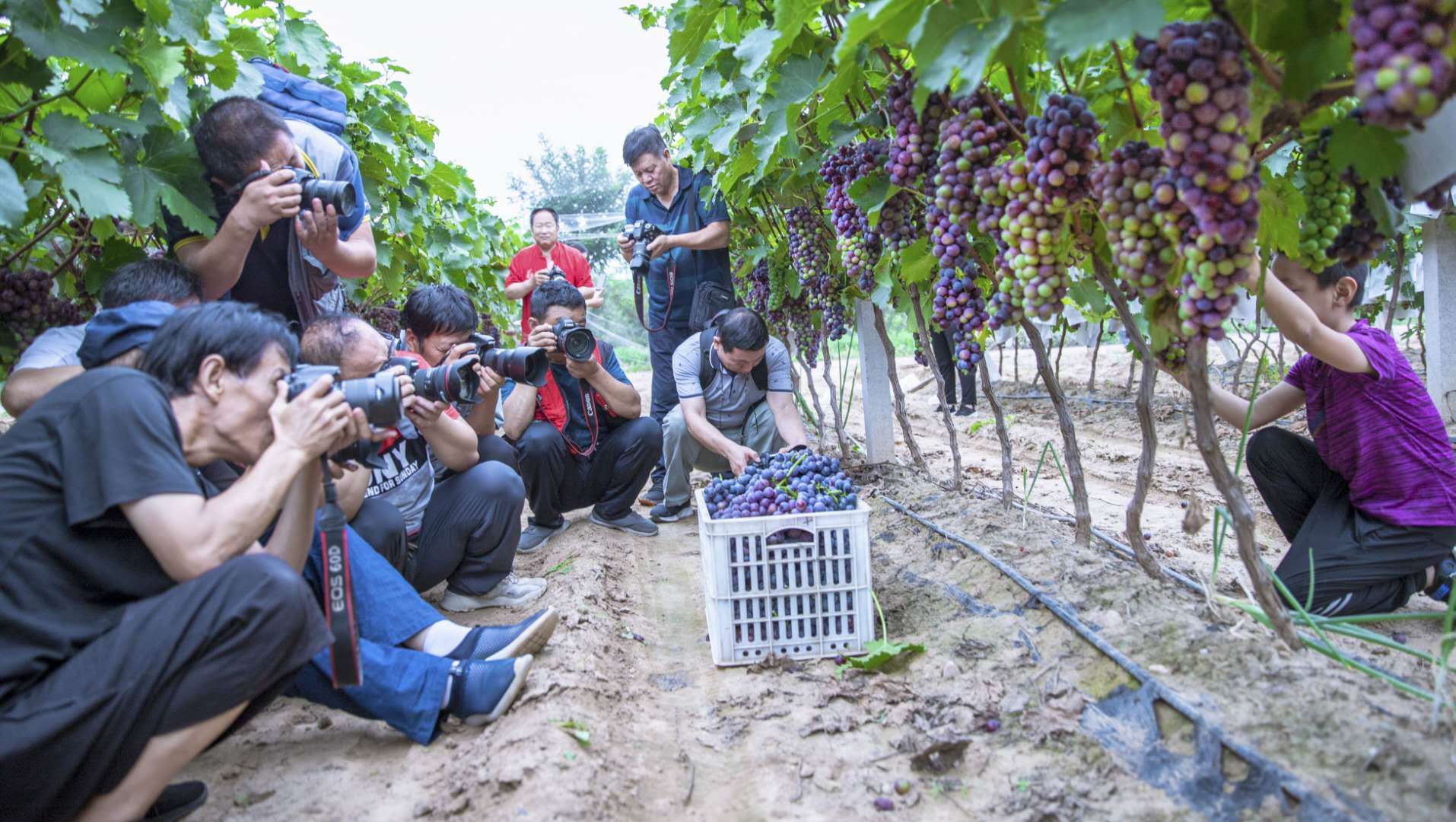 夏县瑶禹王乡人口多少_山西省夏县瑶台山图片(3)