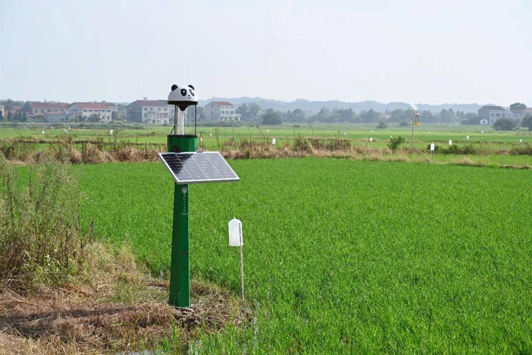 湖南|全力奋战70天，坚决打赢控害保安攻坚战