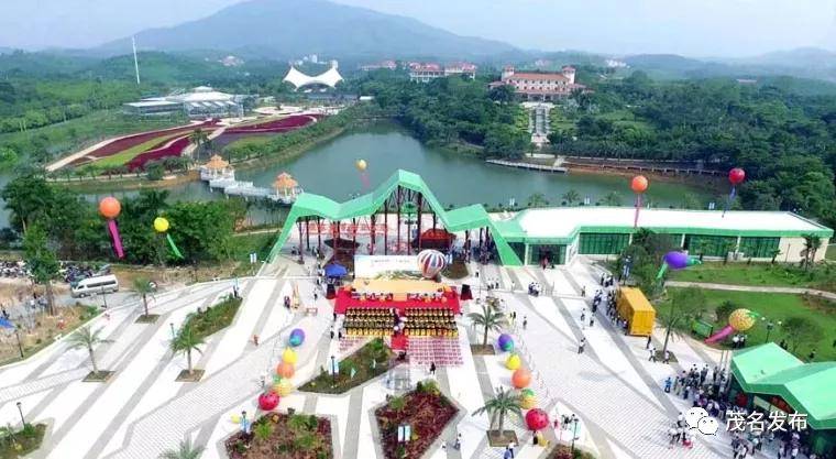 化州这个景点!入选广东森林特色旅游名录