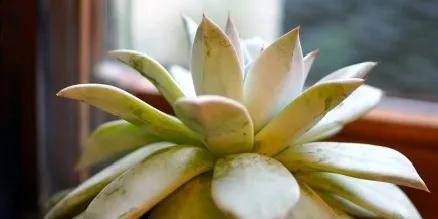 大学|到这几个城市上大学，其实不比北上广差！