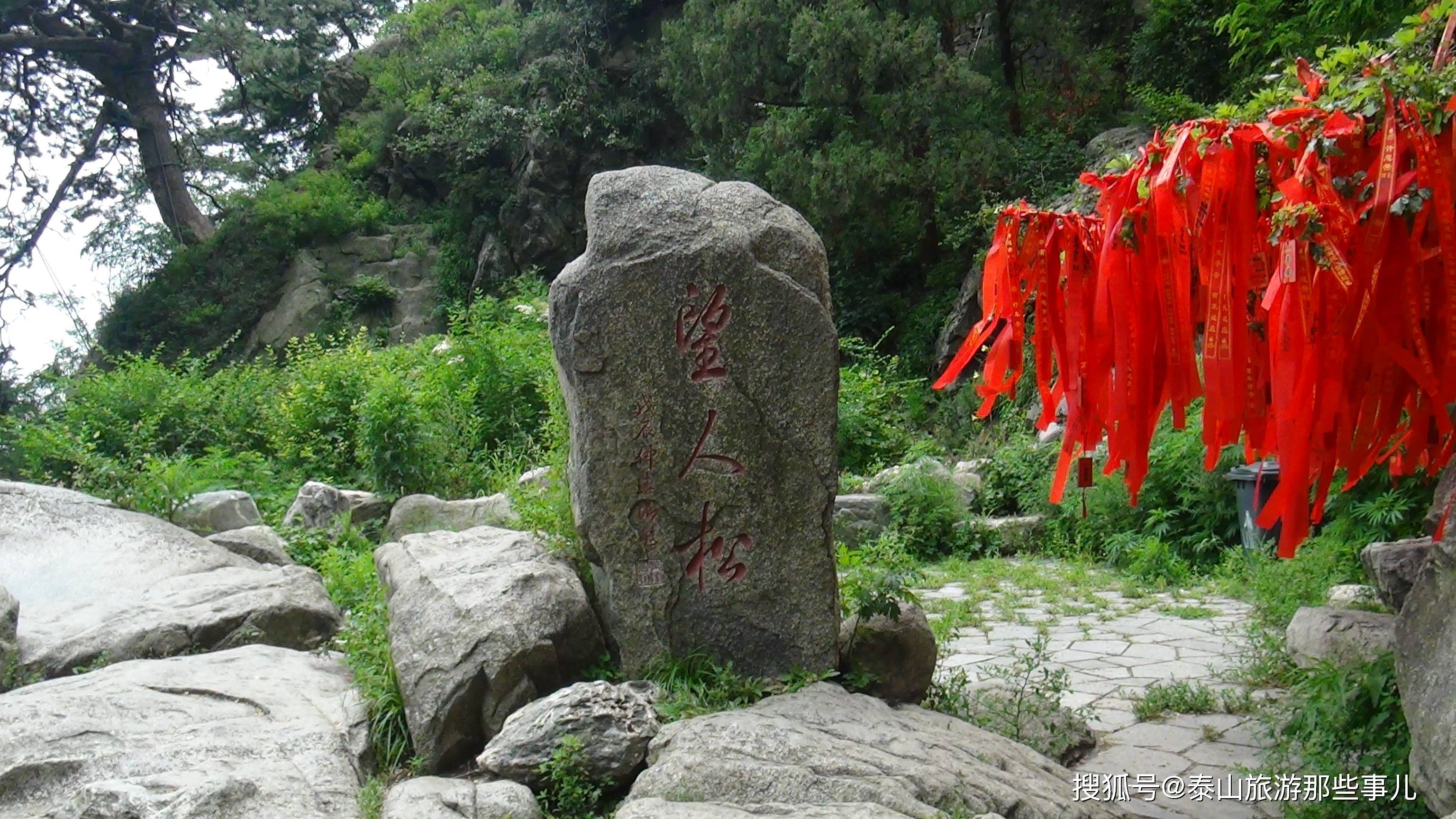 泰山一古树,象征爱情,守候归人,5元人民币背面有它,景色不输黄山迎客