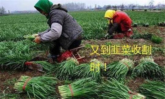 马斯克|【一周车话】马斯克否认了和比尔·盖茨的恋情