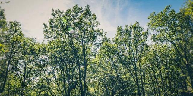 大学|到这几个城市上大学，其实不比北上广差！