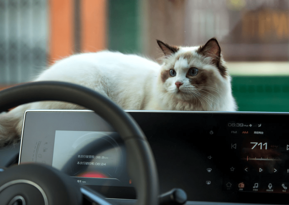 闪电猫欧拉最新款2025 04c64a4406a2467690cafcc4568003a0.png