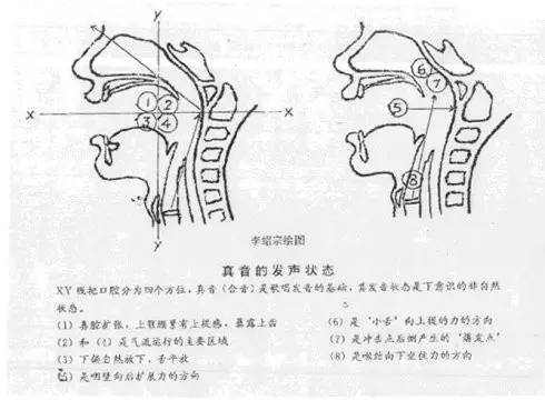 学会"面罩唱法,迅速解决您多年的练声困惑!