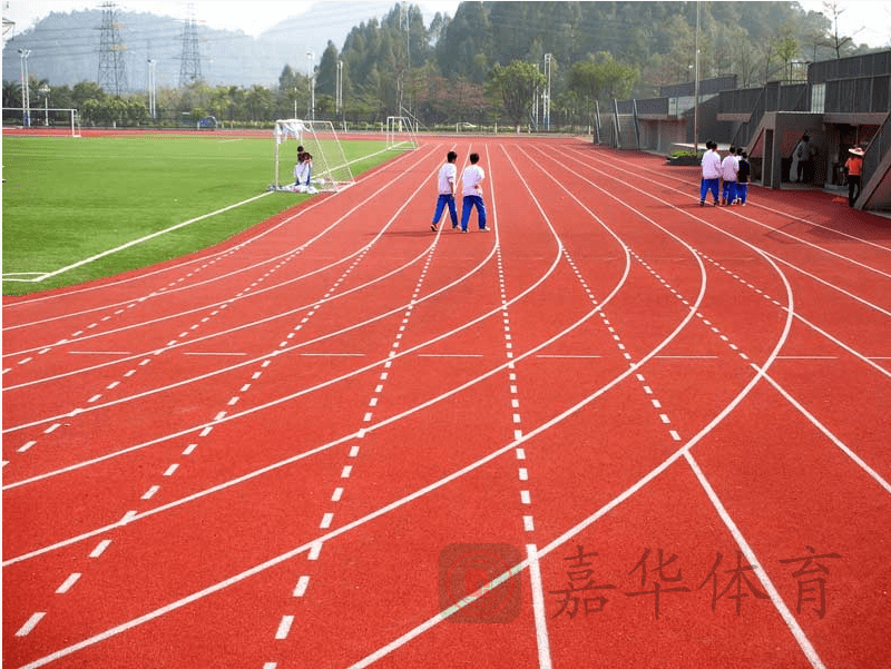 塑胶排名_塑胶跑道(3)