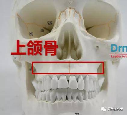 fa|2020最违和女主，收割霸道总裁的颜值就靠这？