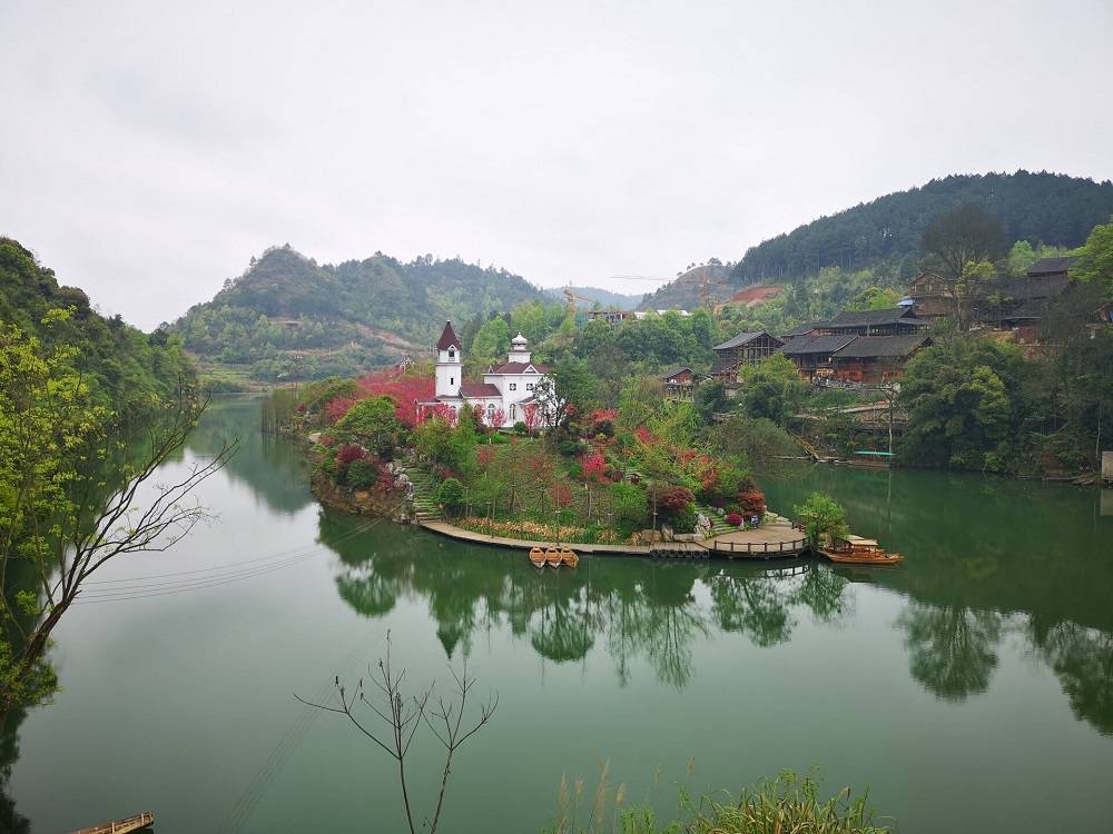 贵州蓝莓基地:人间仙果·麻江蓝莓