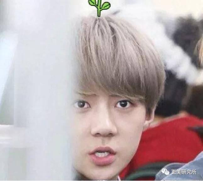 fa|2020最违和女主，收割霸道总裁的颜值就靠这？