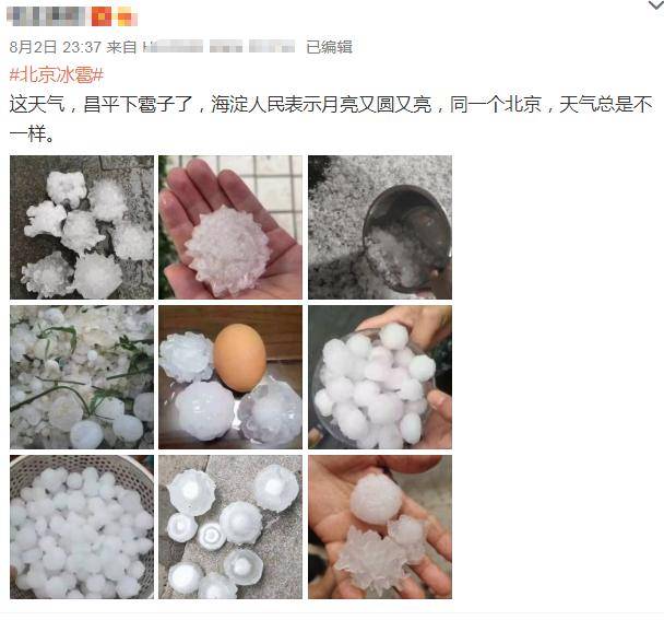 谢霆锋晒照下冰雹把他家菜园子砸塌了，现场一