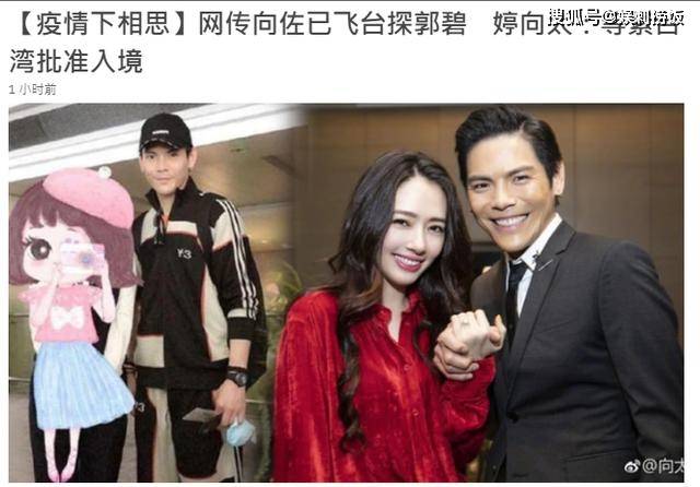 向太回应网传向佐飞台北：正在办理手续，可能