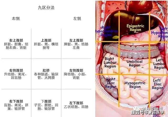 左下腹疼,有哪些常见的病因,该咋办?医生给您讲清楚