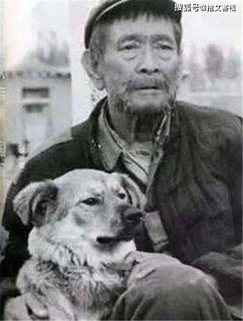 25年前的凶案：主人杀人，恶狗吃肉，带狗演谢晋电影，拍完全枪毙-BB姬