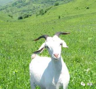 白皮|娱乐圈最新冷白皮冠军，生图让所有女星黯然失色！