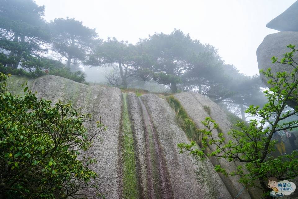 黄山|安徽的简称来自哪座山？不是黄山和九华山，连本地人都很少知道