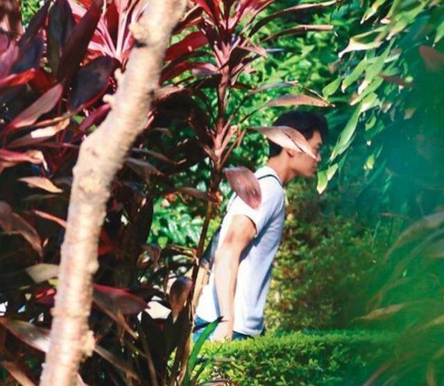 35岁女星太豪放!与新男友当街热吻,绯闻不断还和钱枫互动亲密