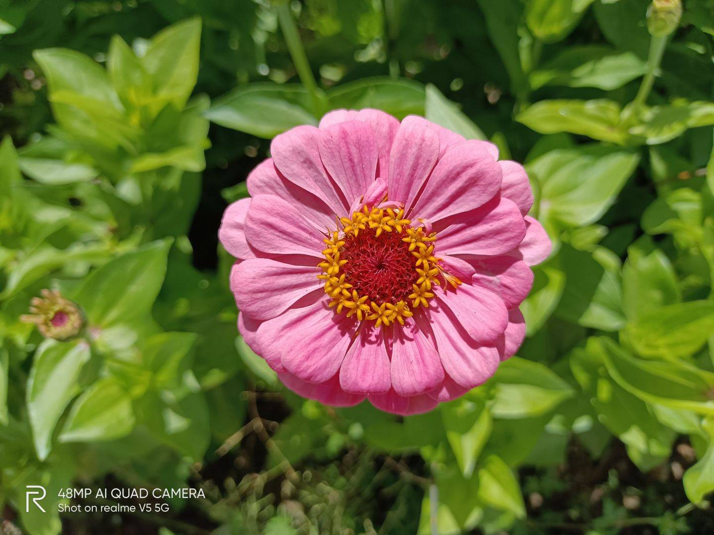 部分|realme真我V5性能实测：天玑720表现有惊喜，千元价位值得考虑