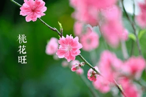 d9409b520db543abbafc0f1acb058903.png