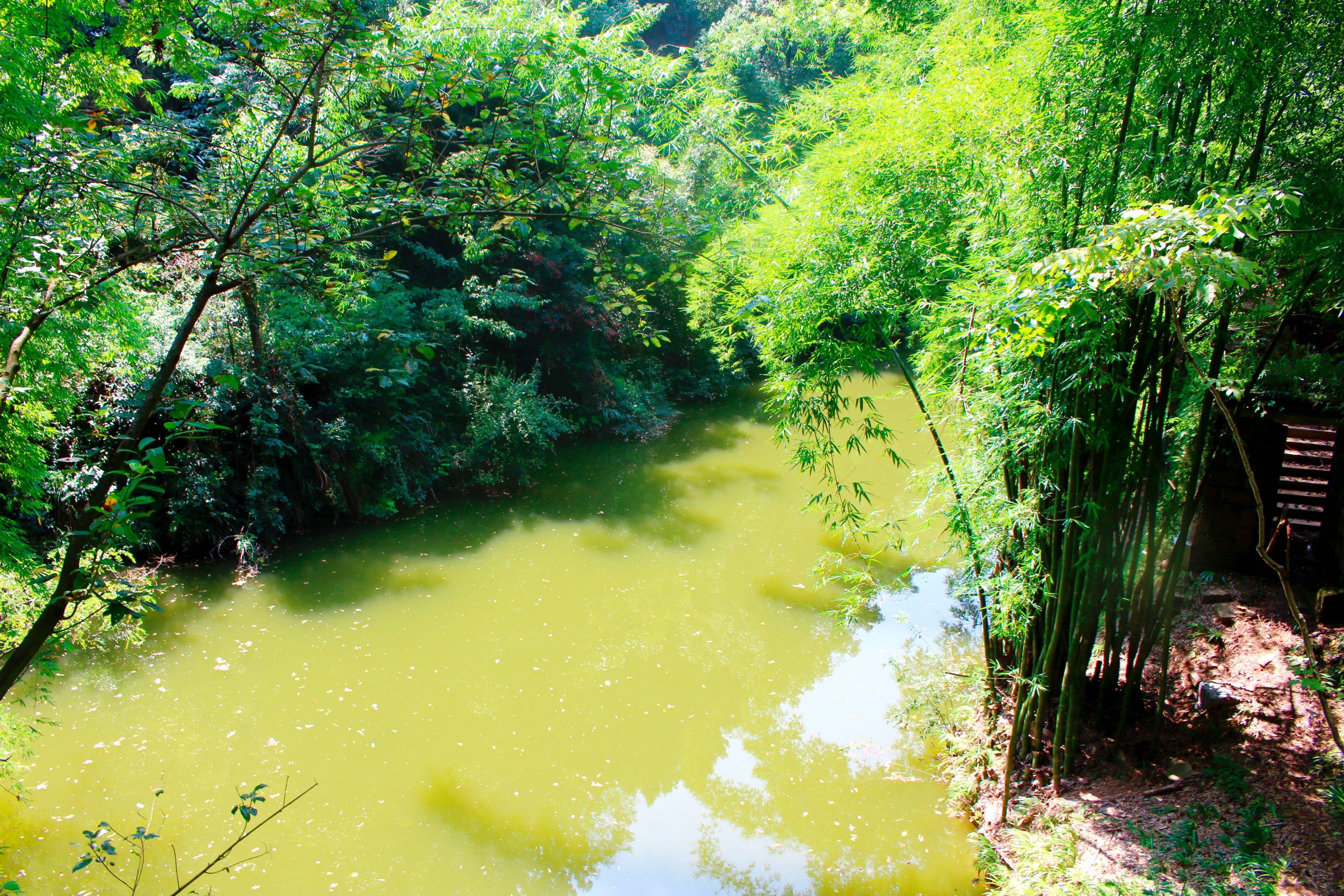 重庆大足石刻景区风光