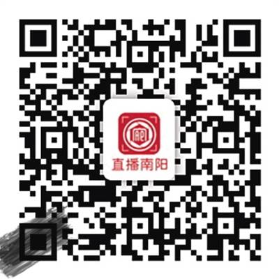 新野gdp_马新野图片(2)