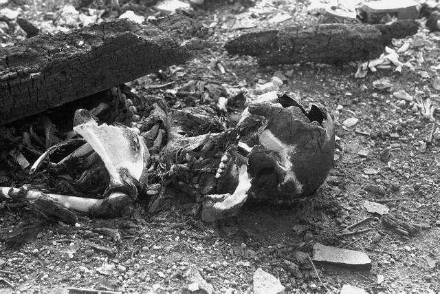 17,长崎爆炸后,骨头和骨灰被留下,炸死了约80000人.