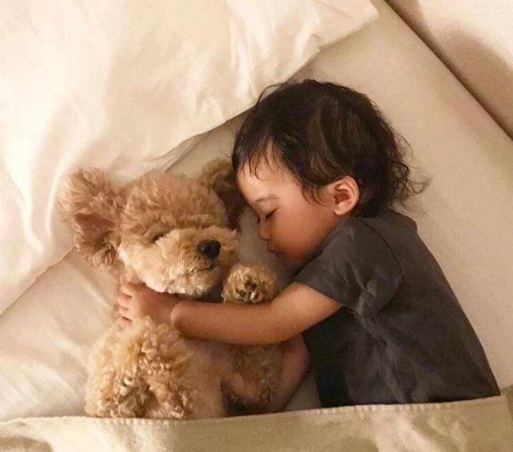 宝宝|宝宝不省事还易伤大脑，三个准备培养睡眠规律奶睡、抱睡、摇睡