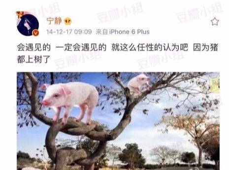 万事|宁静这是什么称职代言人？代言过猪饲料从此万事离不开“猪”