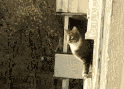 3ed4725eb676445a9ae21d03d5b93479.gif
