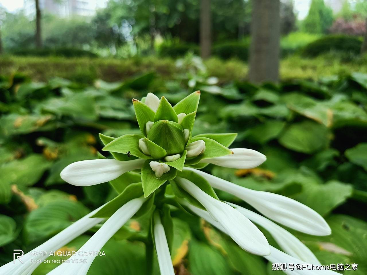 realme|realme真我V5评测 续航表现惊人1399起价真香