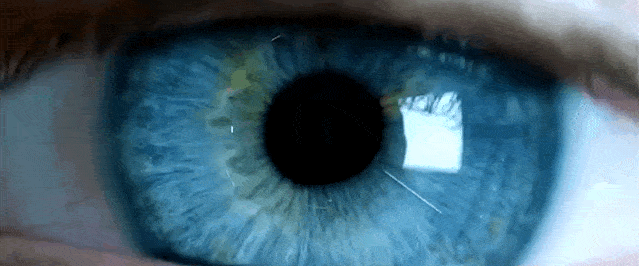 观点评论|张一鸣豪赌，字节将如何跳动？