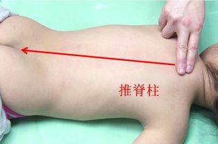 脾胃|如何预防及应对孩子脾胃不和？——湘曦源