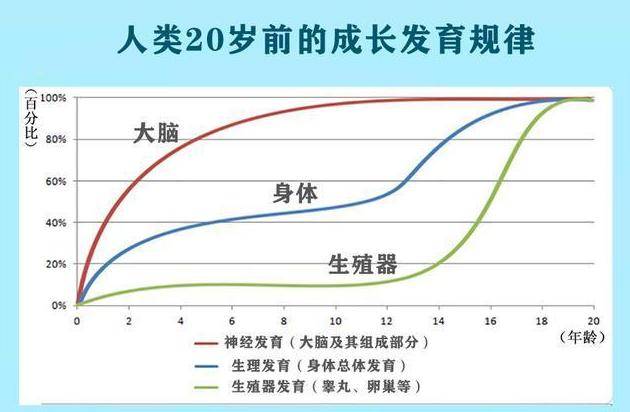 李玫瑾|李玫瑾：12岁前别给娃报这2种兴趣班，浪费钱，脑力训练才是关键