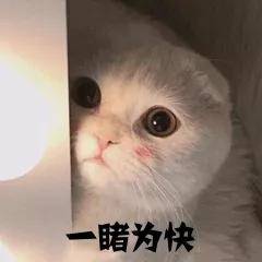 合肥2020重点初中排名_合肥部分重点初中2020年中考数据出炉!几家欢喜几家