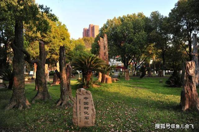 分数线|中国地质大学2020年预估录取分数线出炉！考生多少分能被地大录取