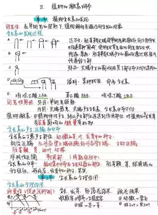 780a5f47a6be45e598086c110c56b1bb.jpeg